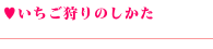 いちご狩りのしかた